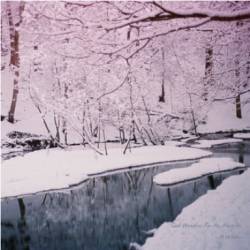 Good Weather For An Airstrike : A Winter